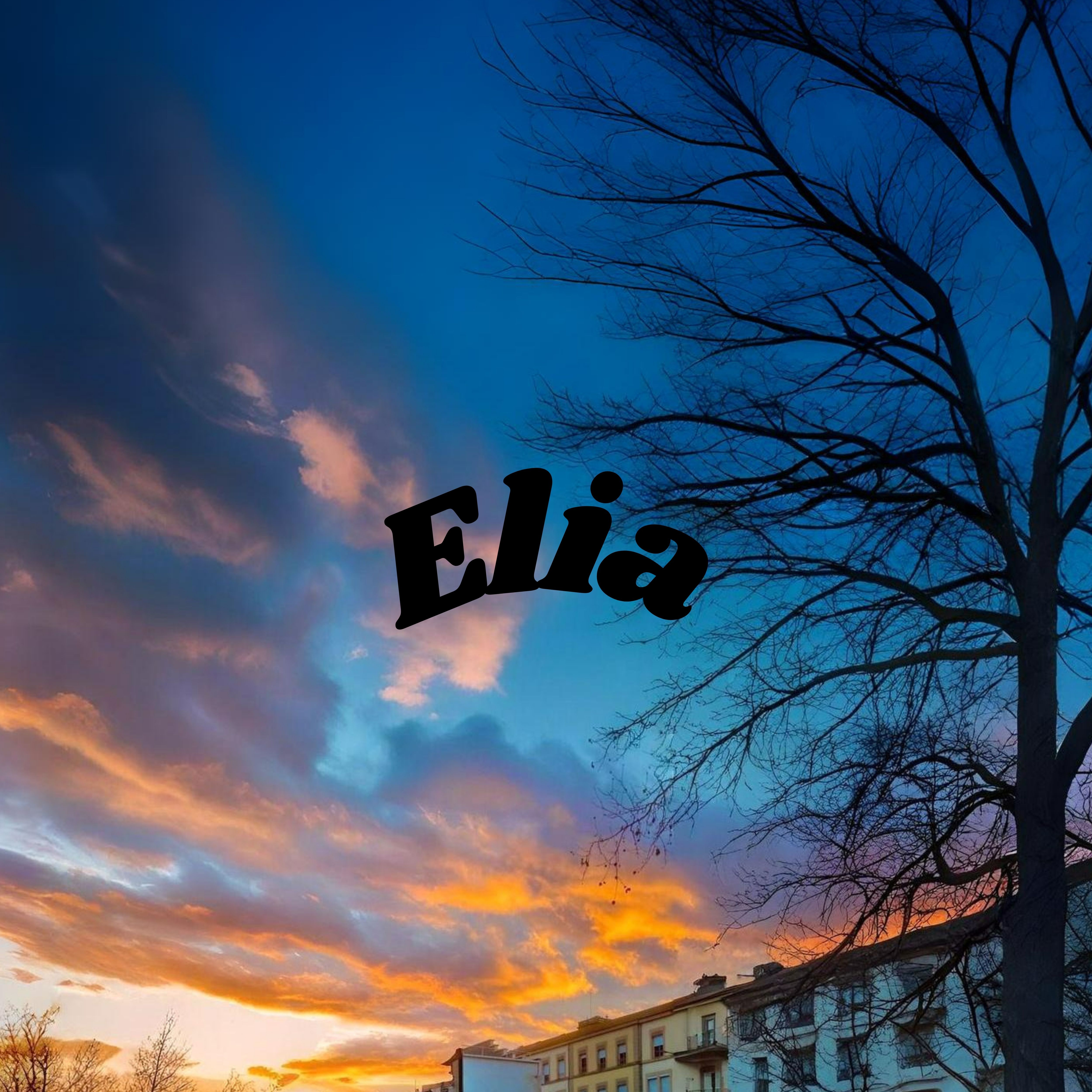 Elia Music